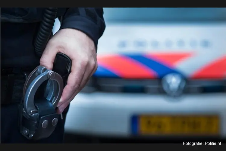 Politie houdt verdachte zedenincident aan