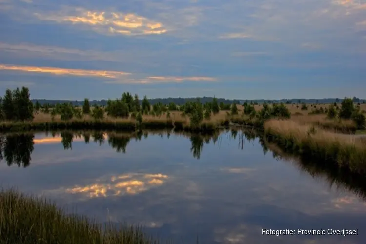 Ontwerp-projectbesluit voor Natuurherstel Engbertsdijksvenen interne maatregelen ter inzage